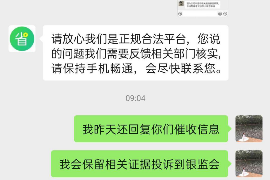 凤泉专业讨债公司有哪些核心服务？